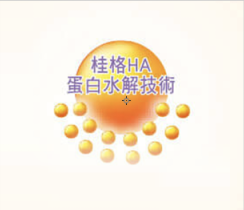 桂格HA蛋白水解技術分子結構示意圖