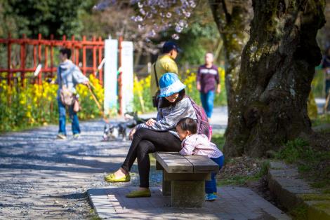 【開箱】福樂葉黃素低脂牛乳，許家庭一個清晰明亮的視界