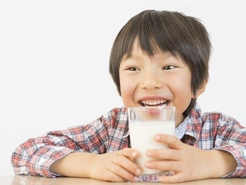 乳牛畜牧小百科