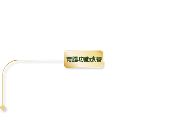 胃腸功能改善