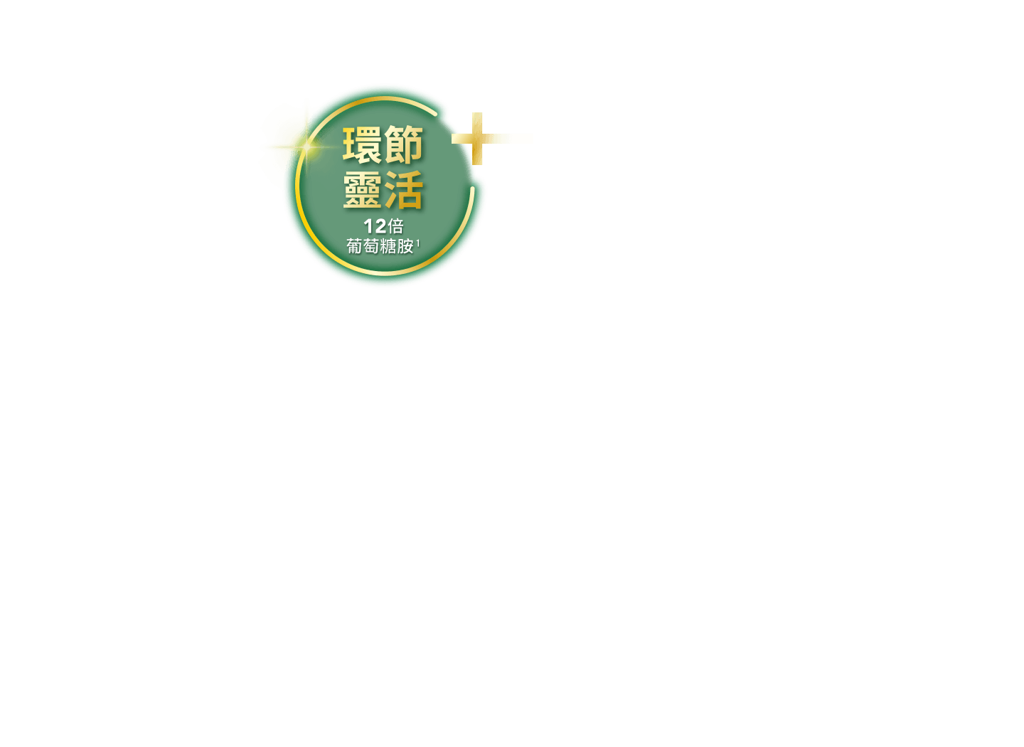 環節靈活 12倍 葡萄糖胺