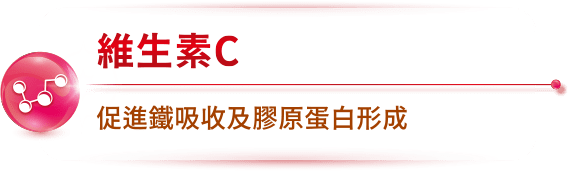 維生素C 促進鐵吸收及膠原蛋白形成