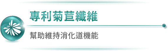 專利菊苣纖維 幫助維持消化道機能