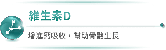 維生素D 增進鈣吸收，幫助骨骼生長