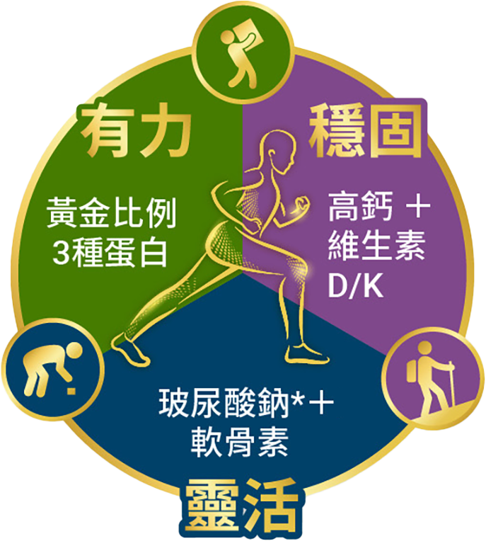 有力+穩固+靈活