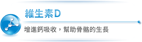 維生素C 促進鐵吸收及膠原蛋白形成