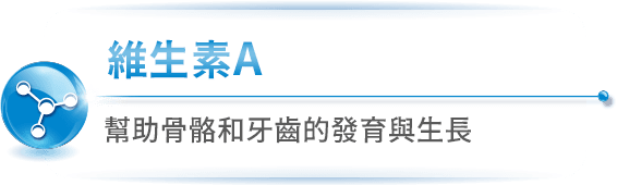 維生素E
                抗氧化並增進皮膚與血球的健康