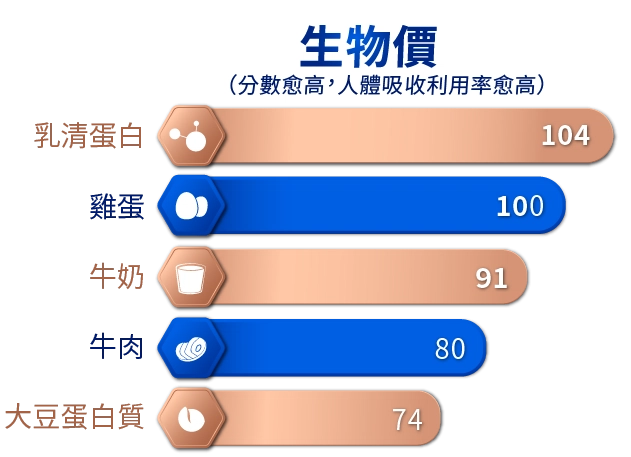 想靠蛋白質幫助肌肉生長該怎麼吃？請推薦飲食方式。
