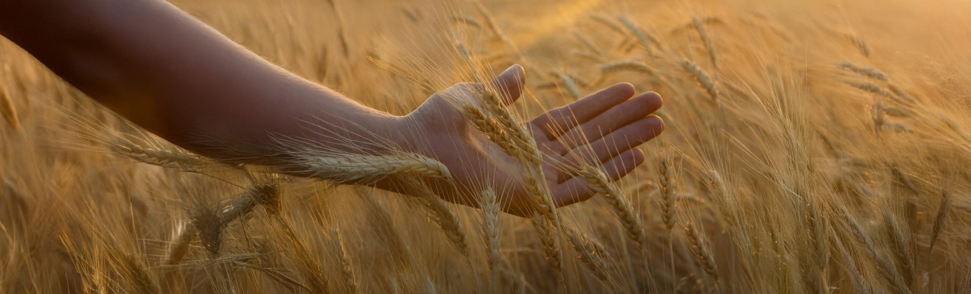 A LIFETIME OF WELL-BEING