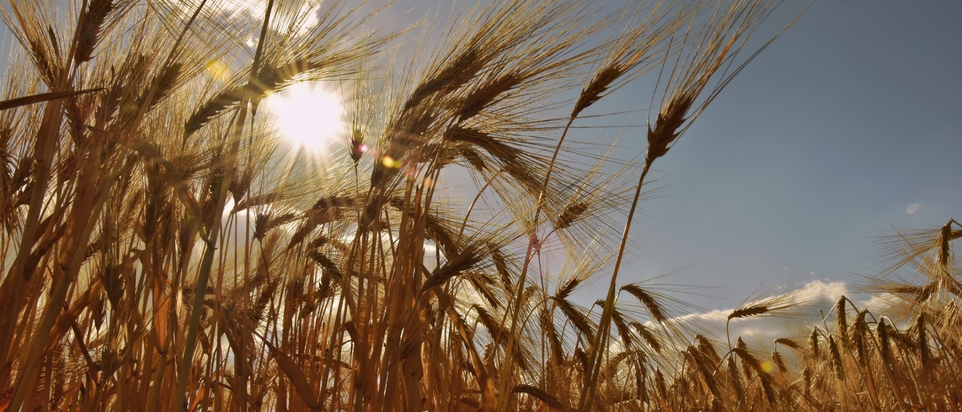 佳格里程碑 佳格里程碑
