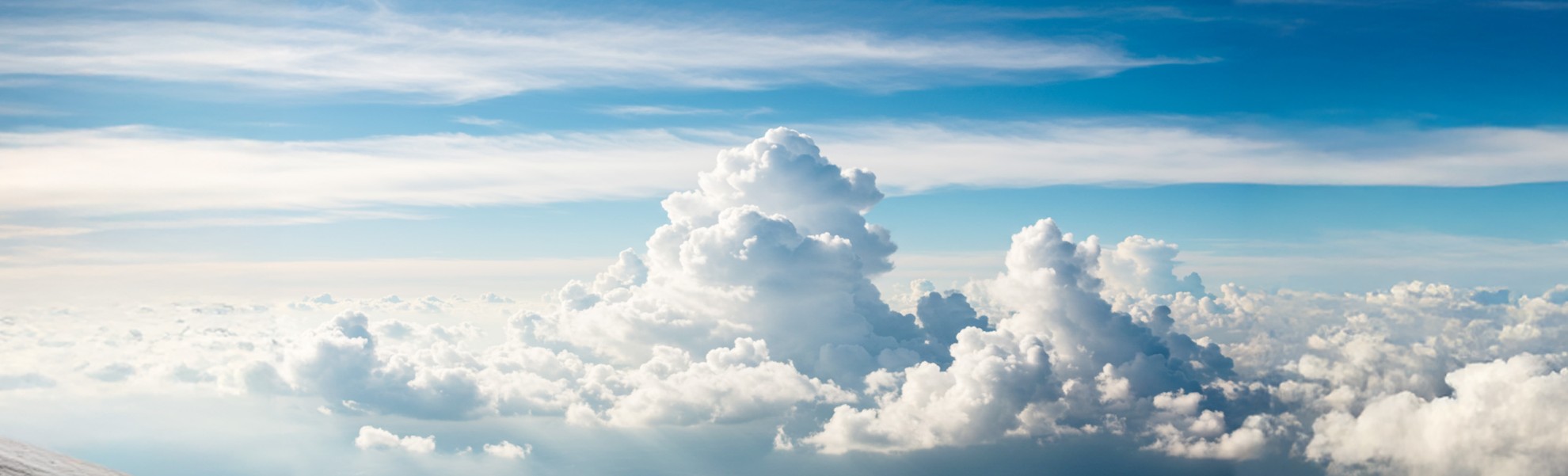 International Brand International Brand