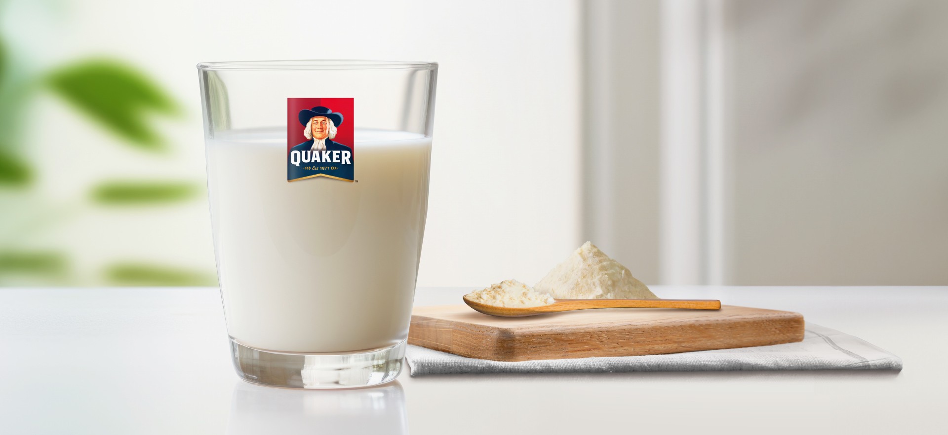 Milk Powder Milk Powder