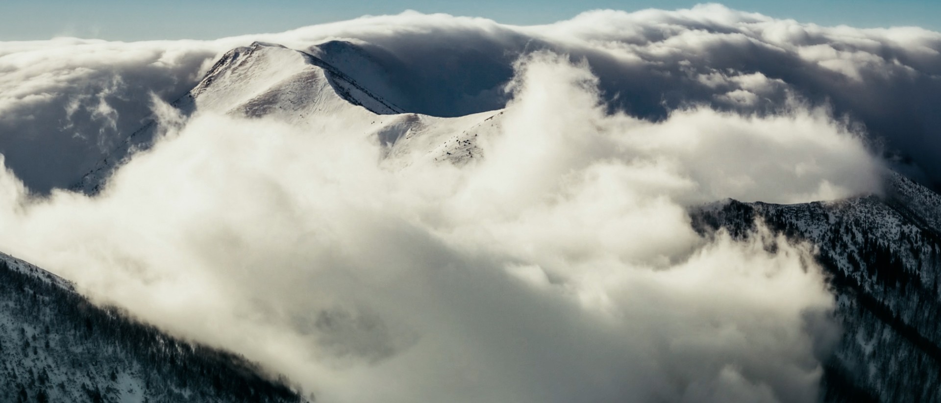 TDHB Nourishing from within to meet everyone's health needs. TDHB Nourishing from within to meet everyone's health needs.