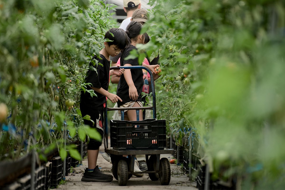 以愛灌溉營養教育計畫前進南投信義鄉! 佳格攜手博幼打造營養飲食社區 以愛灌溉營養教育計畫前進南投信義鄉! 佳格攜手博幼打造營養飲食社區