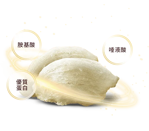 官燕窩